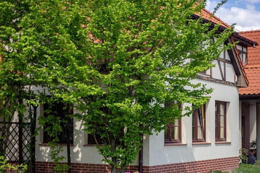 Villa Barbara Oborniki Slaskie Екстер'єр фото